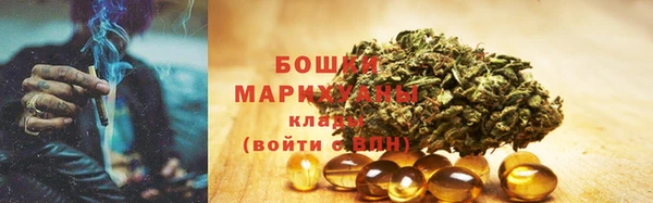 молекула духа Арсеньев