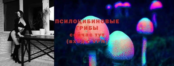 PSILOCYBIN Армянск
