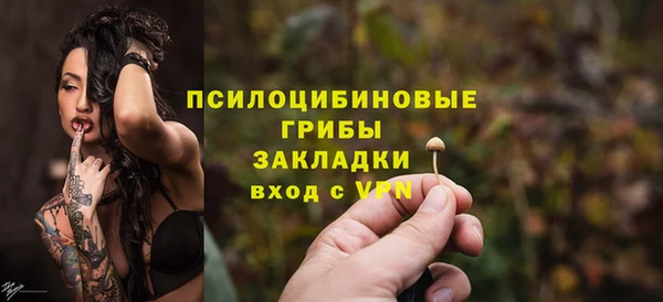 молекула духа Арсеньев