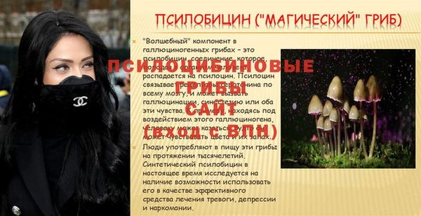 спайс Аркадак
