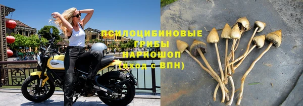 спайс Аркадак