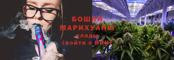 молекула духа Арсеньев