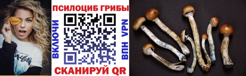 Псилоцибиновые грибы мухоморы  Купить где  Морозовск 